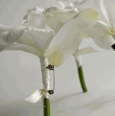 three white flowers are in a glass vase