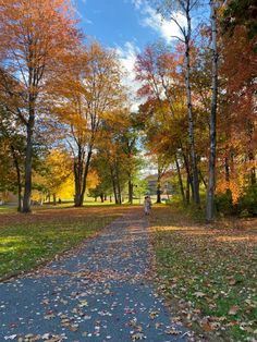 a person walking down a leaf covered road