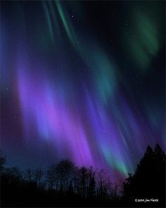 the aurora bore is glowing brightly in the night sky above some trees and snow covered ground