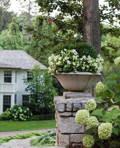 a planter filled with white flowers sitting on top of a stone wall next to a tree