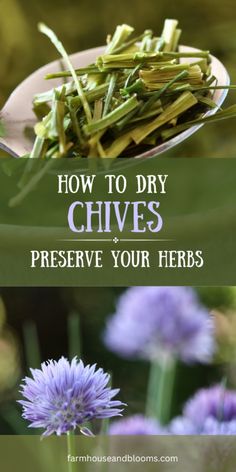 how to dry chives and preserve your herbs in the garden or on the lawn