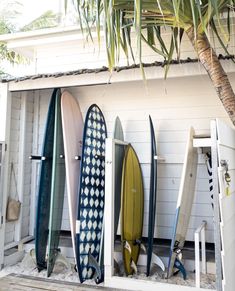 several surfboards are lined up against a white wall in front of a palm tree