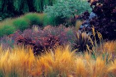 some very pretty plants and trees in the grass