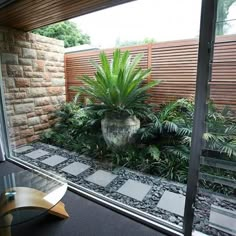 a plant in a pot sitting on top of a table next to a glass door