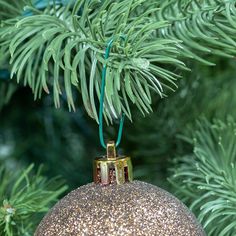 a christmas ornament hanging from a pine tree