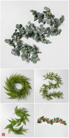 four different images of green plants and leaves