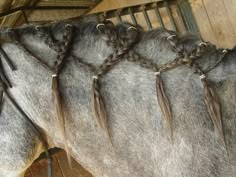 three braids on the back of a horse's head