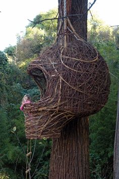 The Weaver’s Nest by Porky Hefer | Cool Tree Houses, Tree House Designs, Land Art, Play Houses, A Tree, Tree House, In The Middle, Grape Vines, Habitat