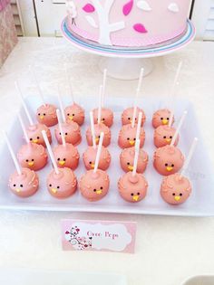 cake pops with pink frosting and little yellow birds on them sitting on a plate