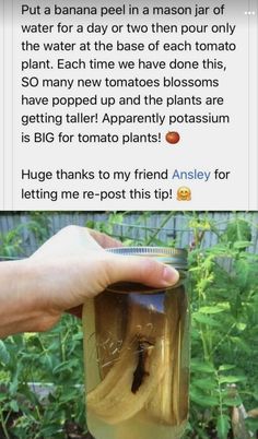 someone is holding a jar full of liquid in front of some plants and trees with the caption, i'll thought this was crazy when i heard it