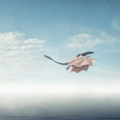 a bird flying over the ocean with a pink flower in it's beaks