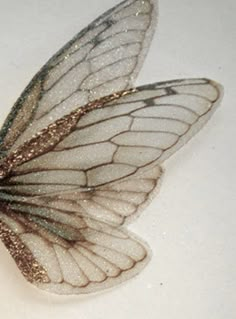 a close up of a butterfly on a white surface with gold flecks and wings