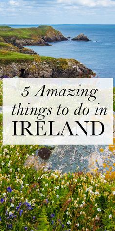 flowers and rocks with the words 5 amazing things to do in ireland