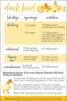 an info sheet describing how to use duck feed for your baby's health needs