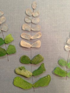 some green and white plants are on the table next to each other with their stems sprouting from them