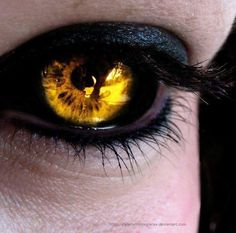 a woman's eye with yellow iris and black liner on the bottom part of her lashes