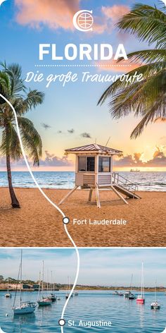 the florida beach with palm trees and boats