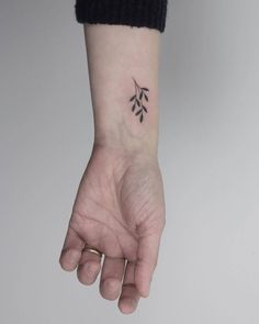 a woman's hand with a small tattoo on the wrist and an olive branch