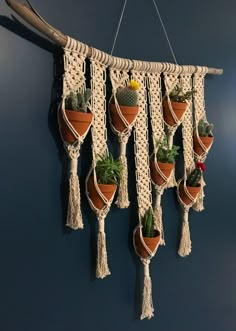 macrame plant hangers with succulents and cactuses in them