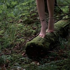 a person standing on top of a log in the woods with their bare feet sticking out