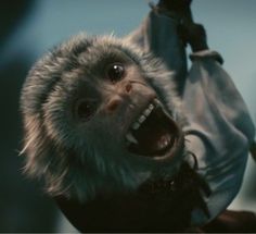 a monkey with its mouth open and it's teeth wide open in the air