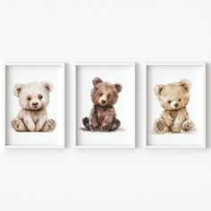 three framed pictures of teddy bears sitting on the floor in front of a white wall