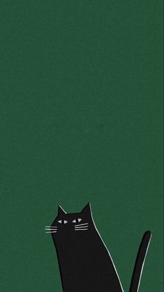 a black cat sitting on top of a green floor