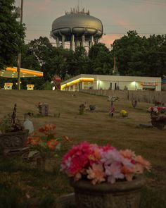 flowers are in the foreground with a water tower in the background at night time