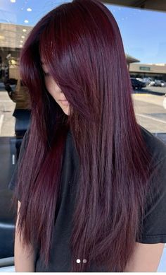 Purple Red Dark Hair, Dark Red Plum Hair, Dark Cherry Plum Hair, Plum Hair Olive Skin, Subtle Cherry Red Hair, Hair Dye No Bleach Dark Hair, Hair Color For Winter Palette, Deep Purple Red Hair, Dark Violet Hair Burgundy