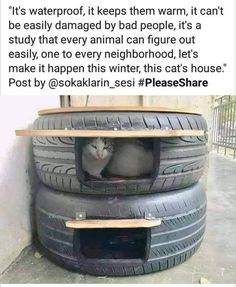 a cat sitting in the middle of two stacked tires with caption that reads it's waterproof, it keeps them warm, it can't be easily damaged by bad people