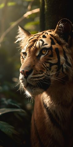 a close up of a tiger near some trees and leaves in the sunbeams