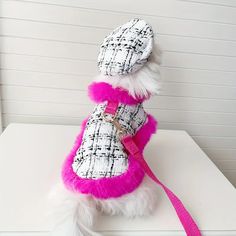 a small white dog wearing a pink and black coat on top of a table next to a wall