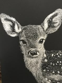 a black and white drawing of a deer