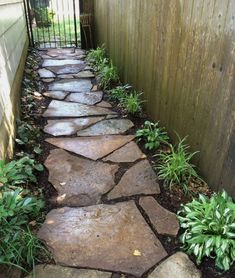 a stone path in front of a wooden fence