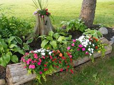 a garden filled with lots of flowers next to a tree stump and some trees in the background