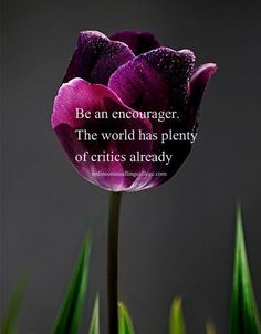 a purple tulip with a quote on it saying be an encourager the world has plenty of circles already