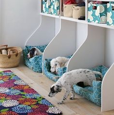 two dogs playing in their dog beds on the floor next to a book shelf and rug