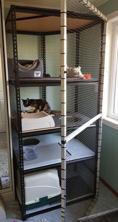 a cat laying on top of a shelf in a room