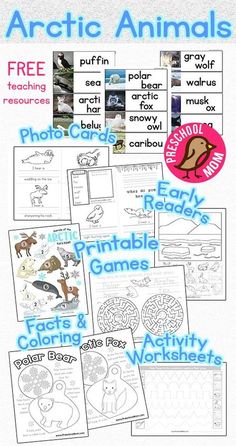 the arctic animals worksheet is shown with pictures and words to help students learn how to