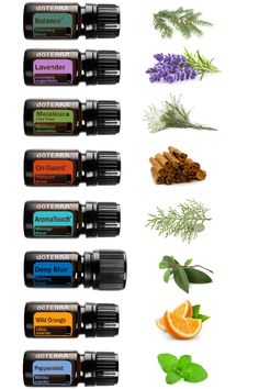 Essential Oils For Chakras, Aromatouch Technique, Doterra Wild Orange, Doterra Balance, Essential Oil Perfumes Recipes, Essential Oil Reed Diffuser, Doterra Lavender, Essential Oil Labels, Essential Oils For Pain