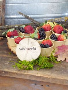 some berries are sitting in small pots on a wooden table next to leaves and a log