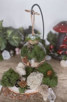 a glass ornament with moss and pine cones