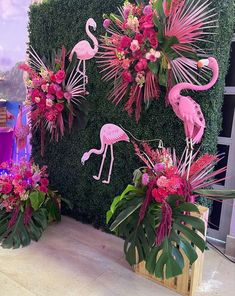 some pink flamingos and other flowers are on display in front of a green wall