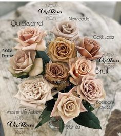 a bouquet of roses with the names of each flower and their meanings in english language