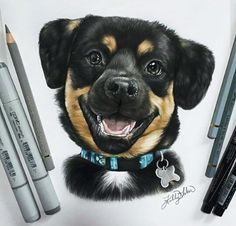 a drawing of a black and brown dog with blue collar next to crayons