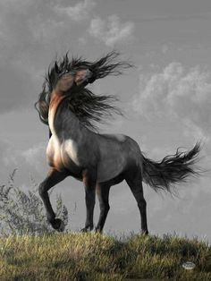 a horse with its hair blowing in the wind on top of a grass covered hill