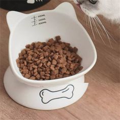 a white cat eating food out of a bowl on top of a wooden table next to a dog bone