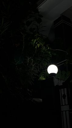 a street light is lit up in the dark by some trees and bushes at night