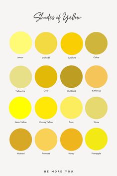 the shades of yellow are shown in this graphic style, which includes different colors and sizes