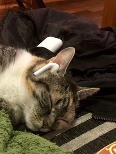 a cat laying on top of a blanket next to a hair dryer in it's mouth